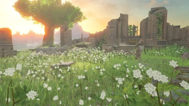 Astuces de base (pas de spoil) pour The Legend of Zelda : Breath of the Wild