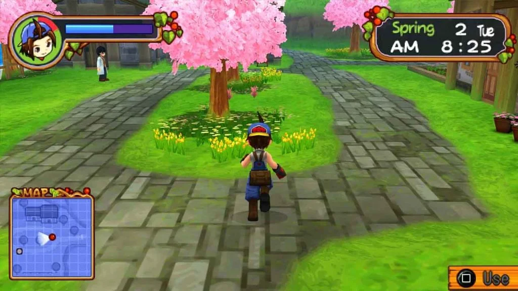 Image du jeu Harvest Moon : Light of Hope sur Nintendo Switch