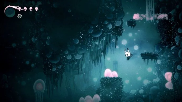 Image du jeu Hollow Knight sur Switch