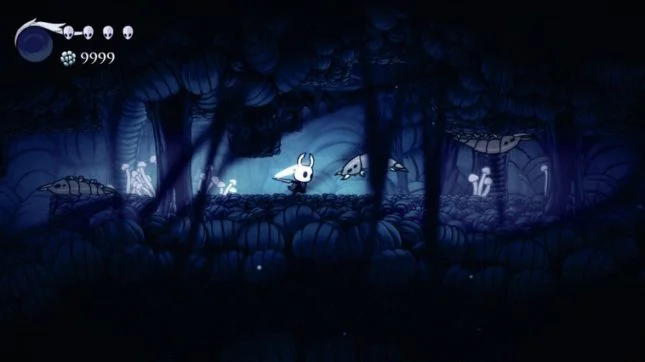 Image du jeu Hollow Knight sur Switch