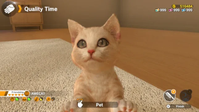 Jeu Little Friends Dogs & Cats sur Nintendo Switch : rencontre avec votre chaton