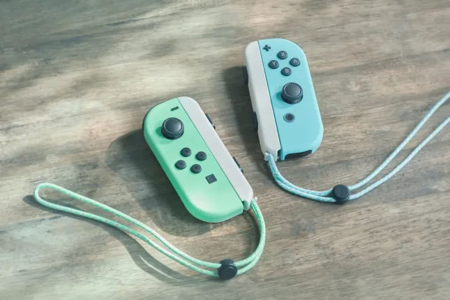 Précommande Nintendo Switch Animal Crossing: New Horizons : vue sur les joy-cons 2