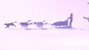 The Red Lantern va vous emmener en Alaska cette année